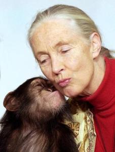 Jane Goodall-friend