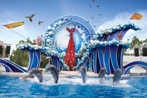 seaworld-show-dauphins